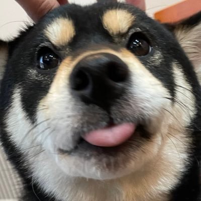 cawaii_ohagi's profile picture