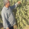 sobhy Lela صبحي ليله profil fotoğrafı