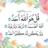 ربيع الدسوقى profil fotoğrafı