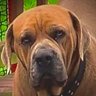 Profilbild von Marky