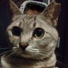 ゆずりは🐾 的头像
