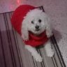 Rox's profile picture