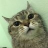 Profilbild von ye