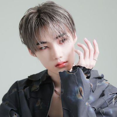 New World's profile picture