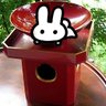 🕊️黑田家的酒杯🍶肥後's profile picture