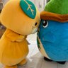 むっく's profile picture