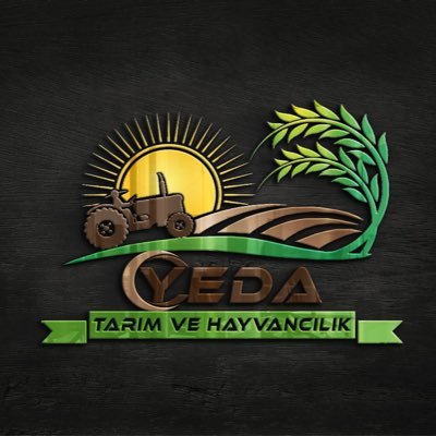 Yeda_Tarim's profile picture