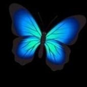 Mavikelebek's profile picture