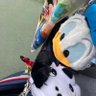 Profilbild von まりん