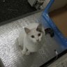 みなこ ゆっけ profil fotoğrafı