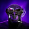 Waby Wilder's profile picture