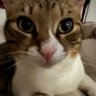 Profilbild von Gül Güneş