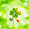 たんぽぽ💌💊🍀💚🎹's profile picture