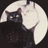 Profilbild von ❕kuku⇪🕯️