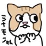 Profilbild von シナモン🐈⬛💖
