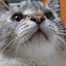なら's profile picture