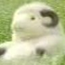 yumi's profile picture