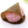 Фото профиля さくらもち