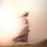 tukuyomi's profile picture