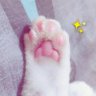 ジオン01's profile picture