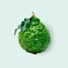 Bergamot 的头像
