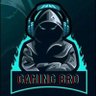 GAMINGBRO's profile picture
