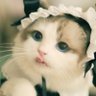 Ti Mah Gong's profile picture