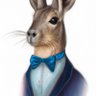 BowTiedMara's profile picture
