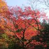 ふっぺい 的头像