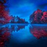 ssmithCA 🍁 profil fotoğrafı