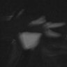 J E S S's profile picture