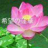 アンバー🎀 的头像