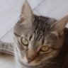 Fedecuervo82 profil fotoฤrafฤฑ