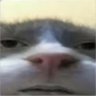 Mim's profil fotoğrafı