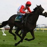 Fontenesi's profile picture