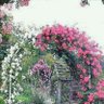 Profilbild von 芹和