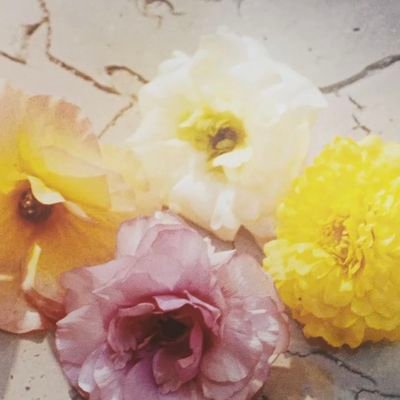 Marie's profile picture