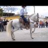 Фото профиля Fer Cisneros