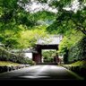 日本の京都の片隅に's profile picture