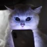 Junior profil fotoğrafı