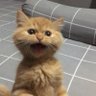 OmereheluV profil fotoğrafı