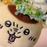 さくゆき profil fotoğrafı