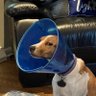 Dr. Chaffs's profile picture