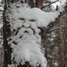 Фото профиля Даладно