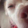 Alpserhatt profil fotoğrafı