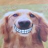 Sunny AM's profile picture