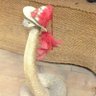 Capricorn Decoder's profile picture