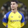 Theban Alotaibi's profile picture