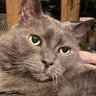Sandi Long profil fotoğrafı