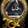 apo elsolh's profile picture